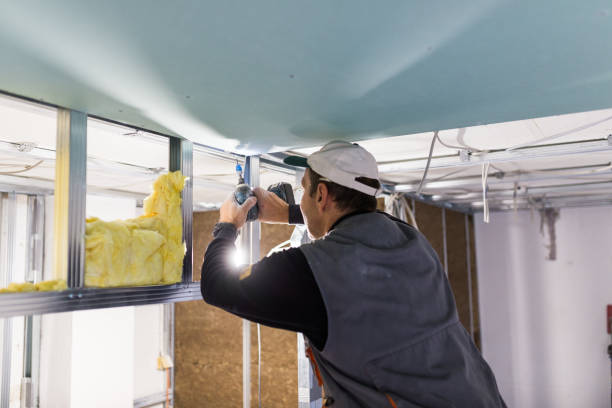 Best Commercial Insulation in Town And Country, WA
